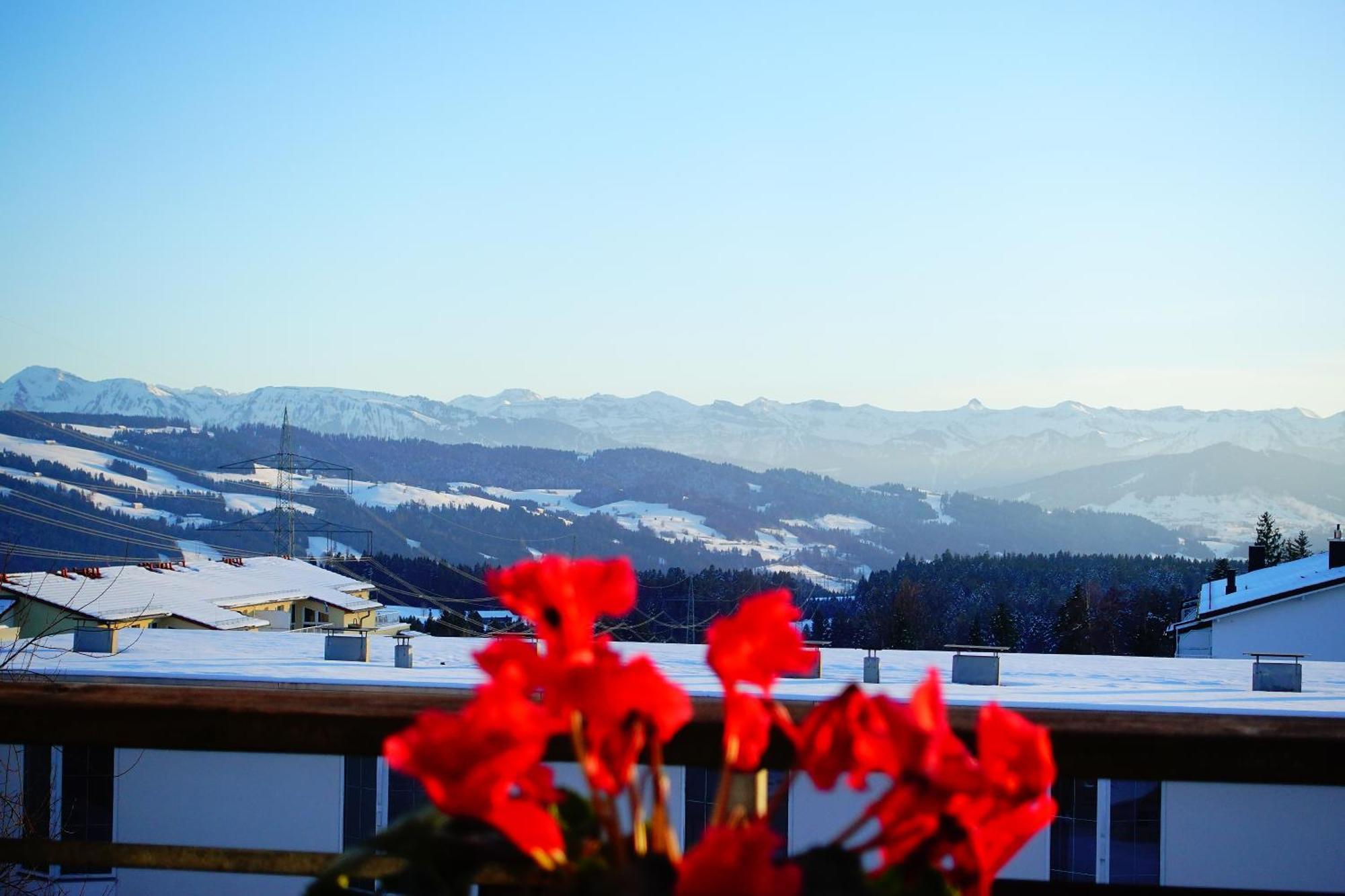 Relax-Red Mit Pool Und Sauna Scheidegg Bagian luar foto